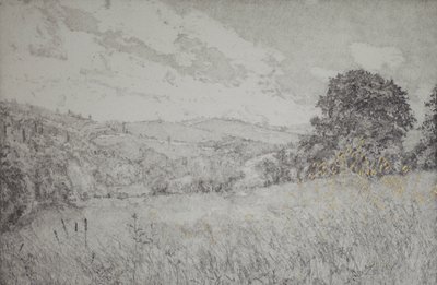 Goldener Tag von angus hampel